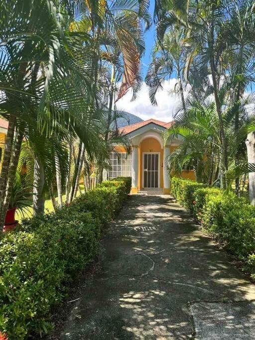 Villa De Ali In Palma Real La Ceiba Extérieur photo